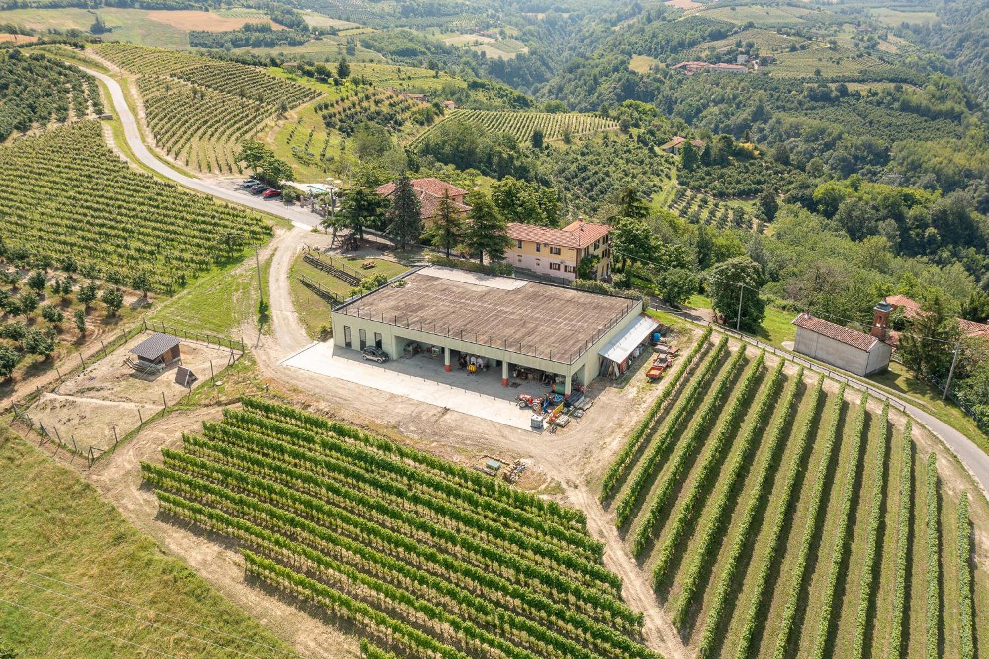 Agriturismo Cantine Bevione - Family Apartments Farigliano Екстер'єр фото